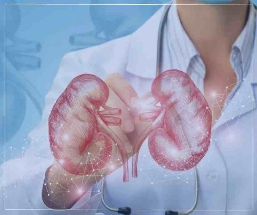 Diseases Treated by a Nephrology Doctor in Naktala