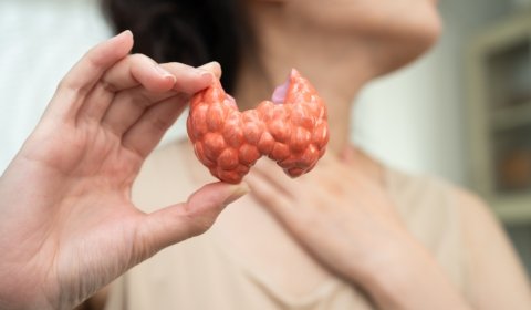 THYROID PROFILE PACKAGE